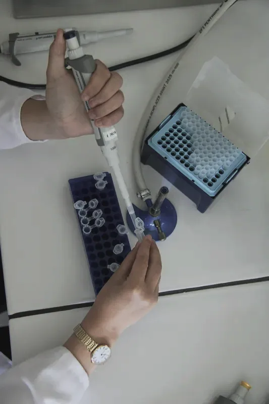 Gloved hands using a pipette over a rack of small vials at a laboratory bench