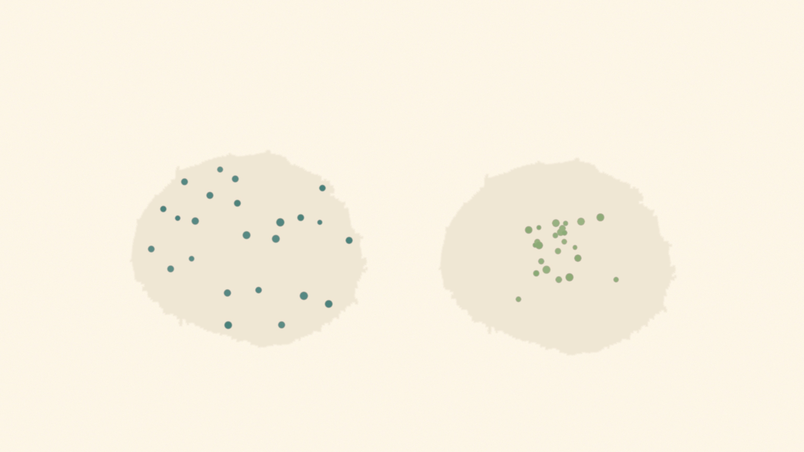 Two soft shapes sharing one identical outer outline on a warm bone field, the first holding an open scatter of small teal marks and the second holding the same marks gathered into a dense matcha core, an abstract image of two bodies that arrive at the same number.