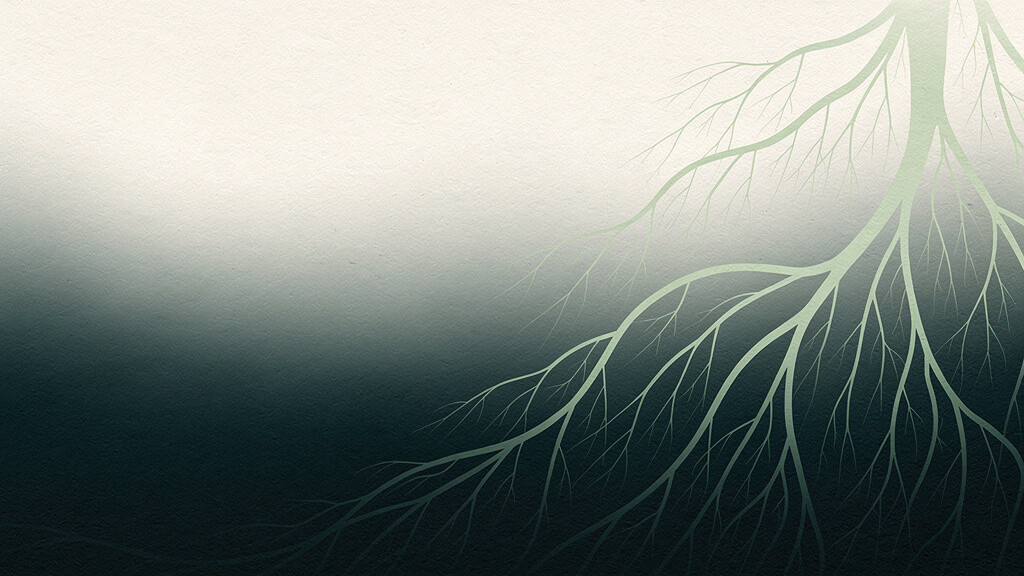 A smooth field deepening from warm bone to deep teal, crossed by soft matcha-green strands that branch and dissolve like fine roots feeding an unseen living system below, suggesting fiber as quiet nourishment for a hidden garden.