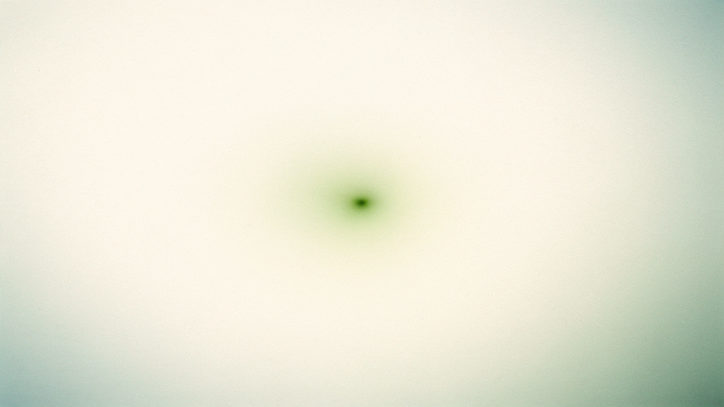 A single warm, leaf-green point of light unfurling in a soft bone field.