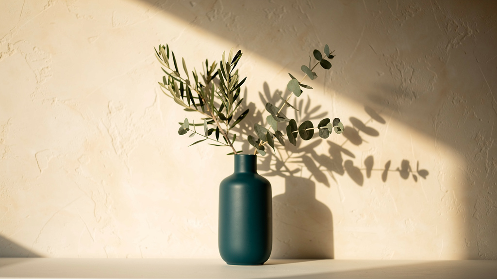 A tranquil minimal interior in soft afternoon light, with an olive and eucalyptus branch in a deep teal ceramic vessel casting a long soft shadow across a bone plaster wall.